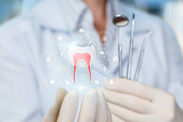 Best Preventive Dentistry  in Monroeville, OH